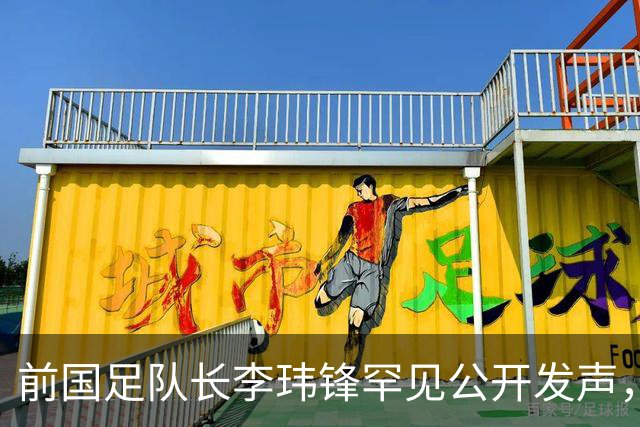 前国足队长李玮锋罕见公开发声，直接点名董路麾下中国足球小将青训队伍