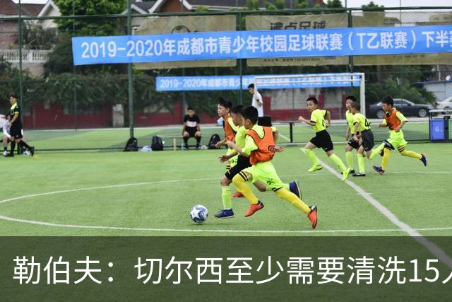 勒伯夫：切尔西至少需要清洗15人，桑切斯需要被新门将替换