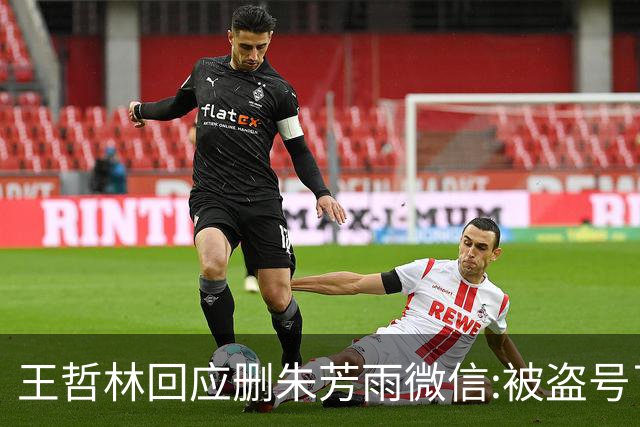 王哲林回应删朱芳雨微信:被盗号了删了几百好友 朱总太忙吃宵夜也不带我